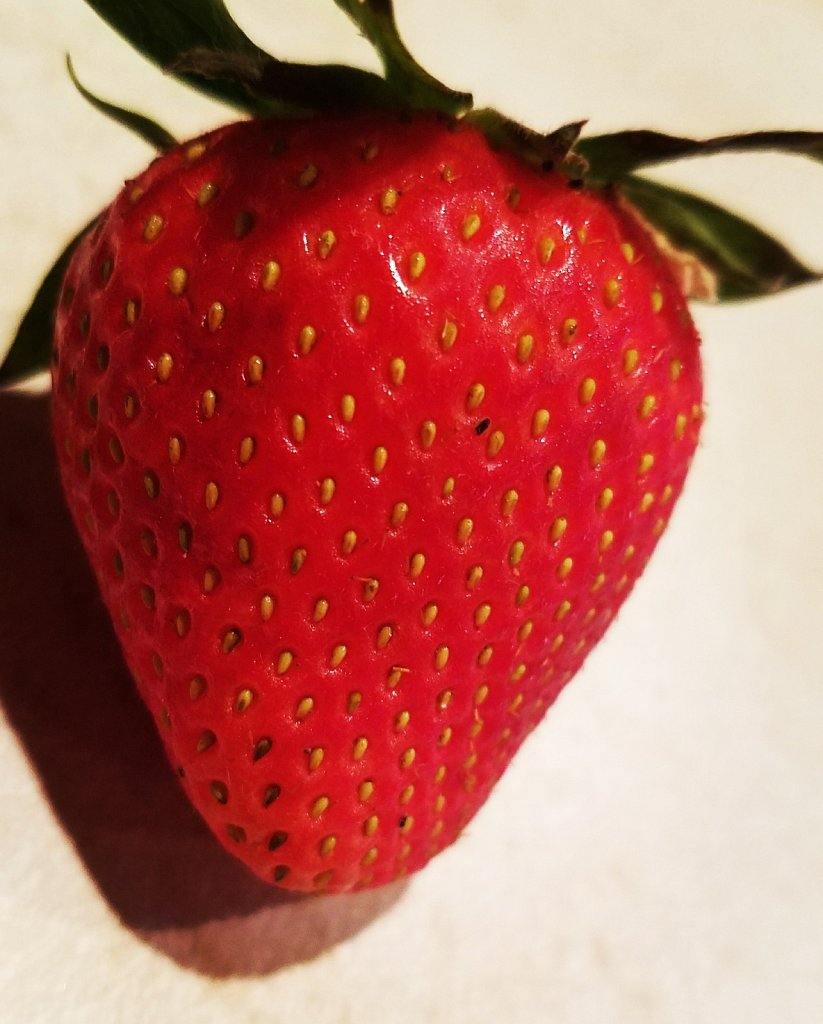Filtered Strawberry 
