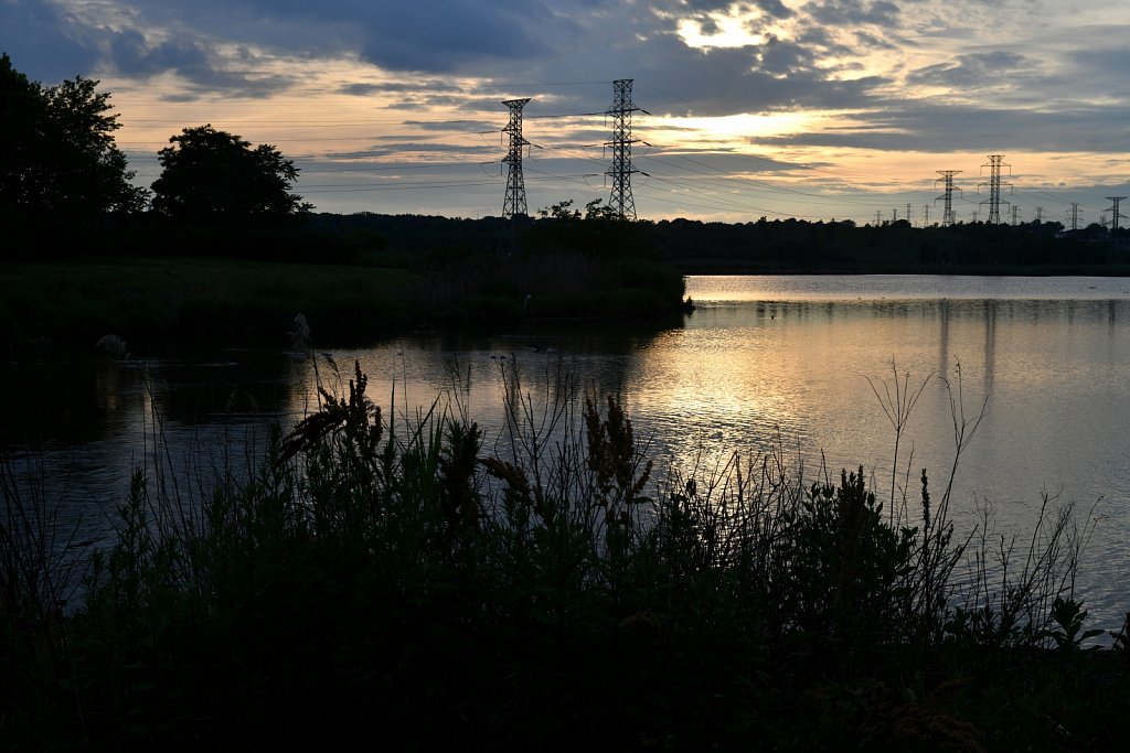 Meadowlands Sunset