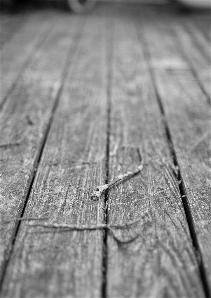 Playing with the D300
