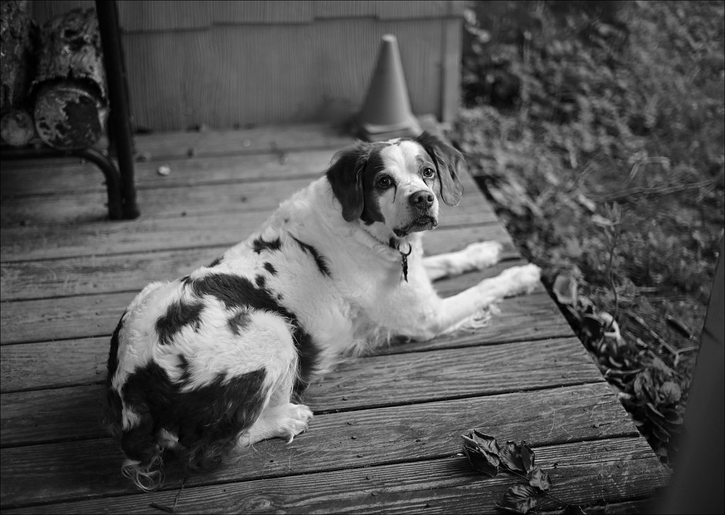 Copper On Deck - Playing with Nikkor AF-S 50mm F/1.4 G 