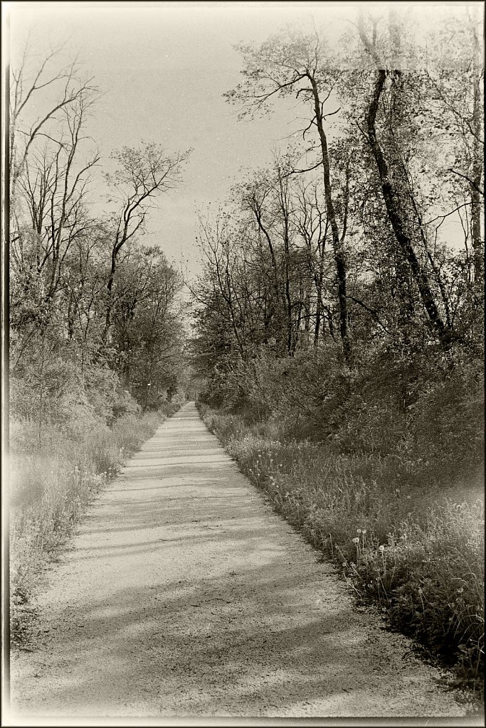 Along the Columbia Trail 