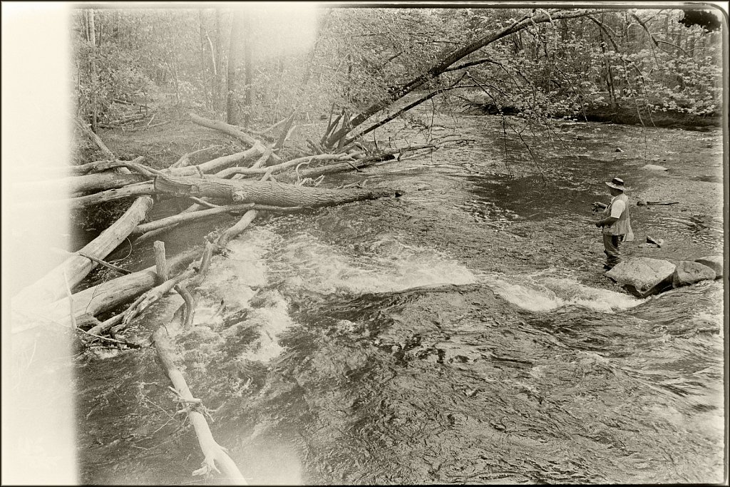 Along the Columbia Trail 