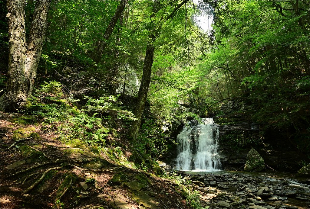 Upstate NY 2024