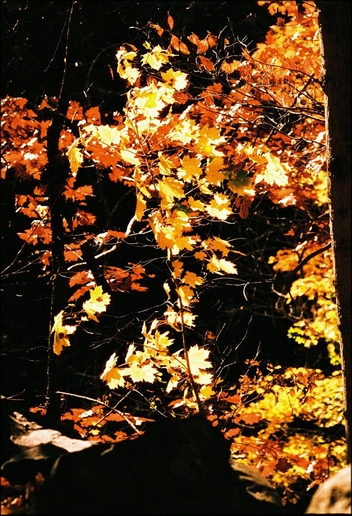 Columbia Trail   