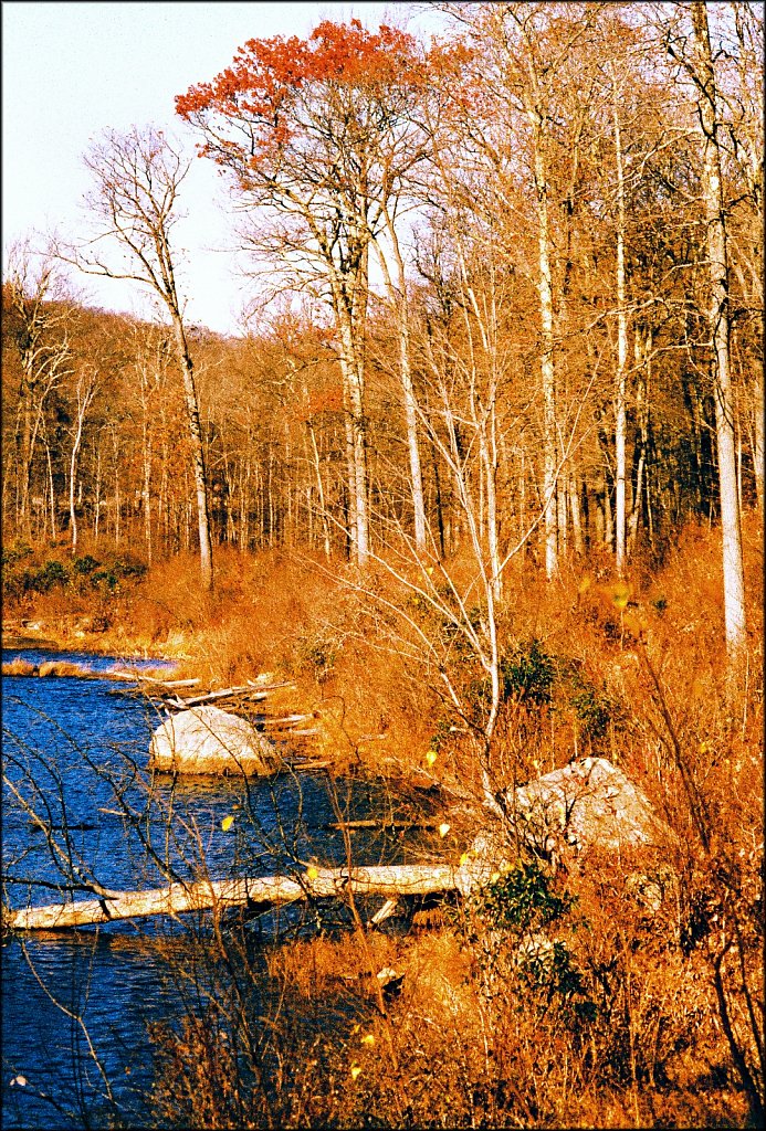 MAHLON DICKERSON RESERVATION 
