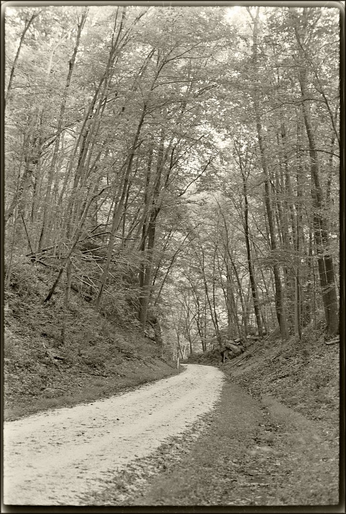 Columbia Trail