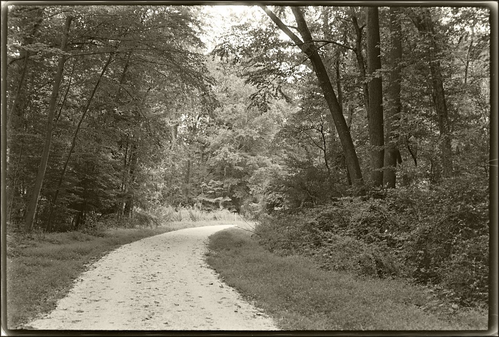 Columbia Trail
