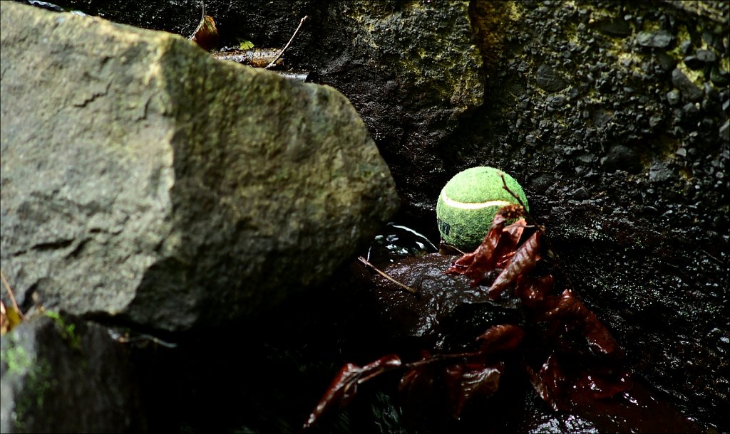 Tennis Ball