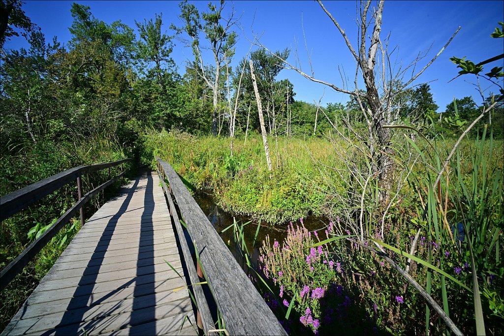 Saugerties Lighthouse & Ruth Reynolds Glunt Nature Preserve