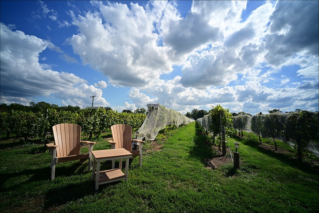 Bishop Estate Vineyard and Winery 