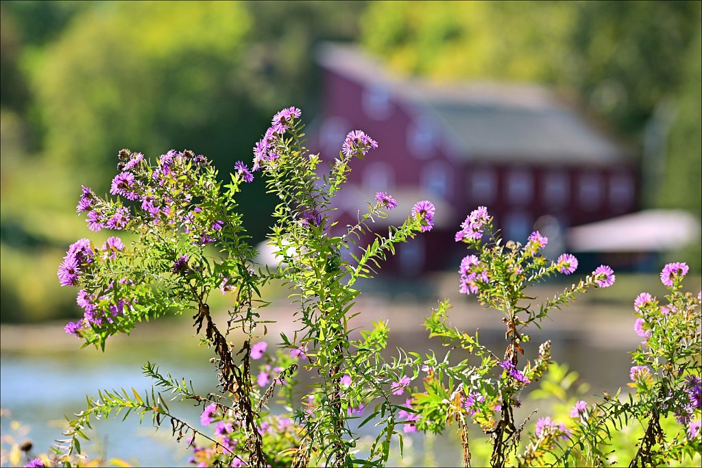 AIs Nikkor 180mm F/2.8 ED