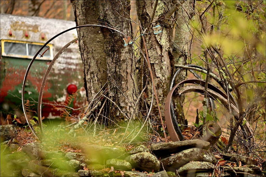 Fall 2025 Upstate NY