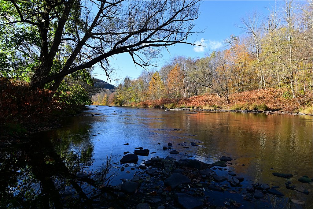 Livingston Manor Covered Bridge